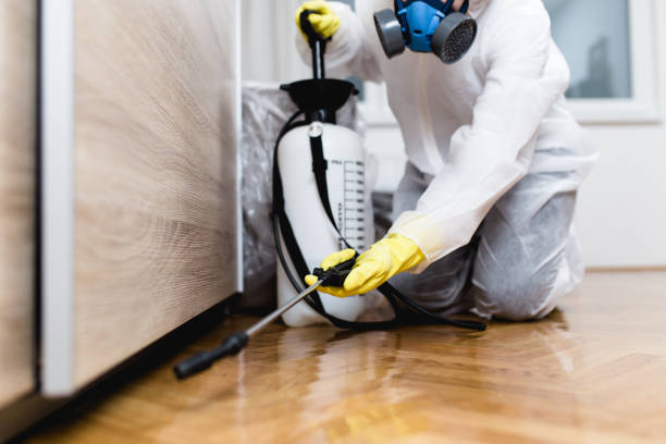 Reliable Southlake, TX Pest Control Solutions