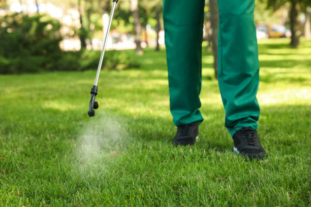 Pest Prevention Services in Southlake, TX